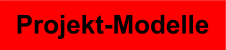 Projekt-Modelle